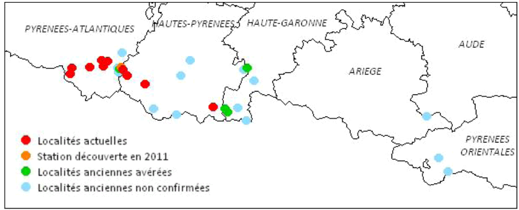 Carte des localités d'Aster des Pyrénées actuelles et issues des herbiers (© CBNPMP)