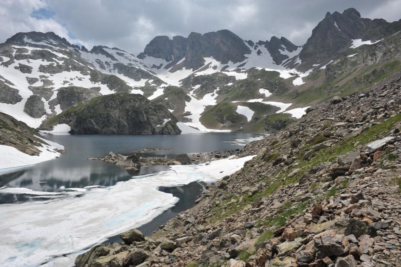 Habitat : I.bonnali