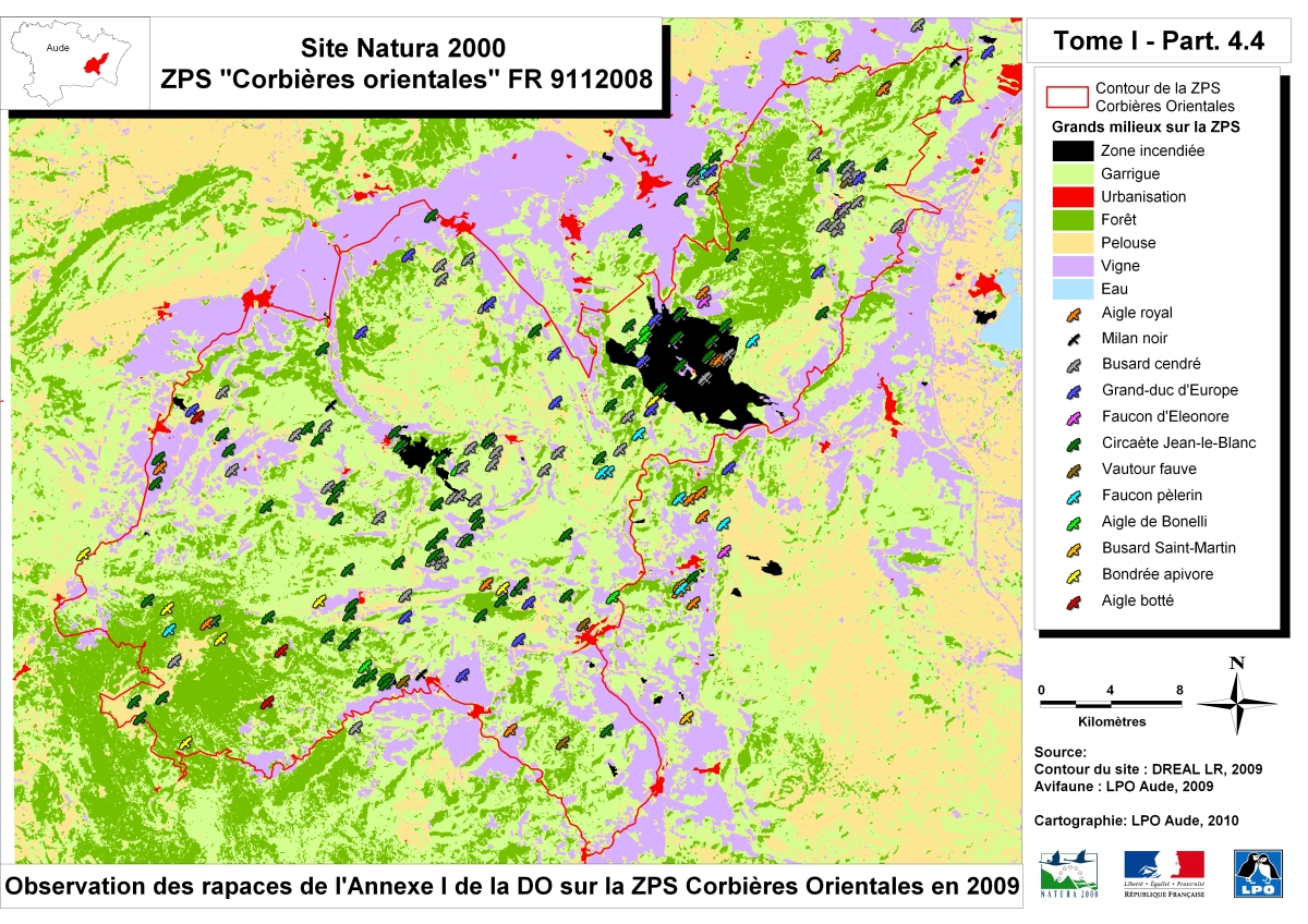 Carte_16_Rapaces