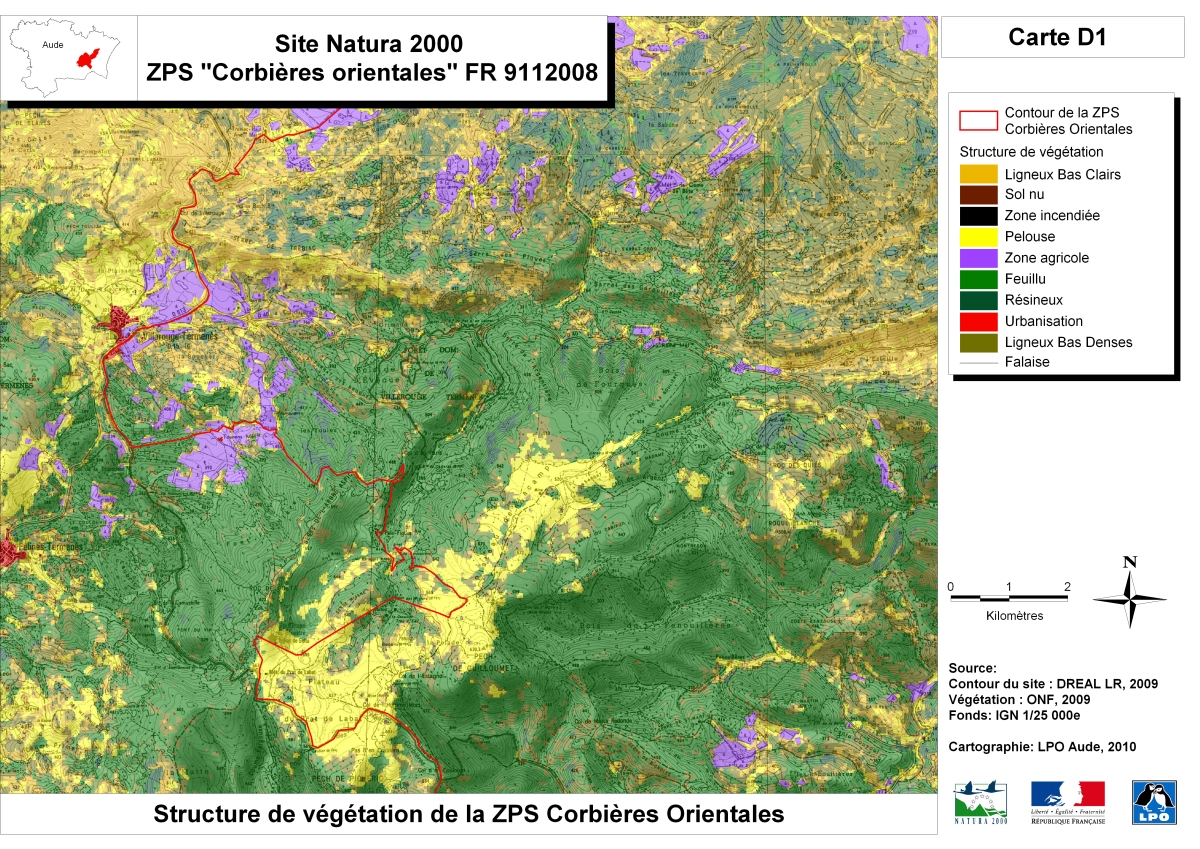 Carte_6_D1