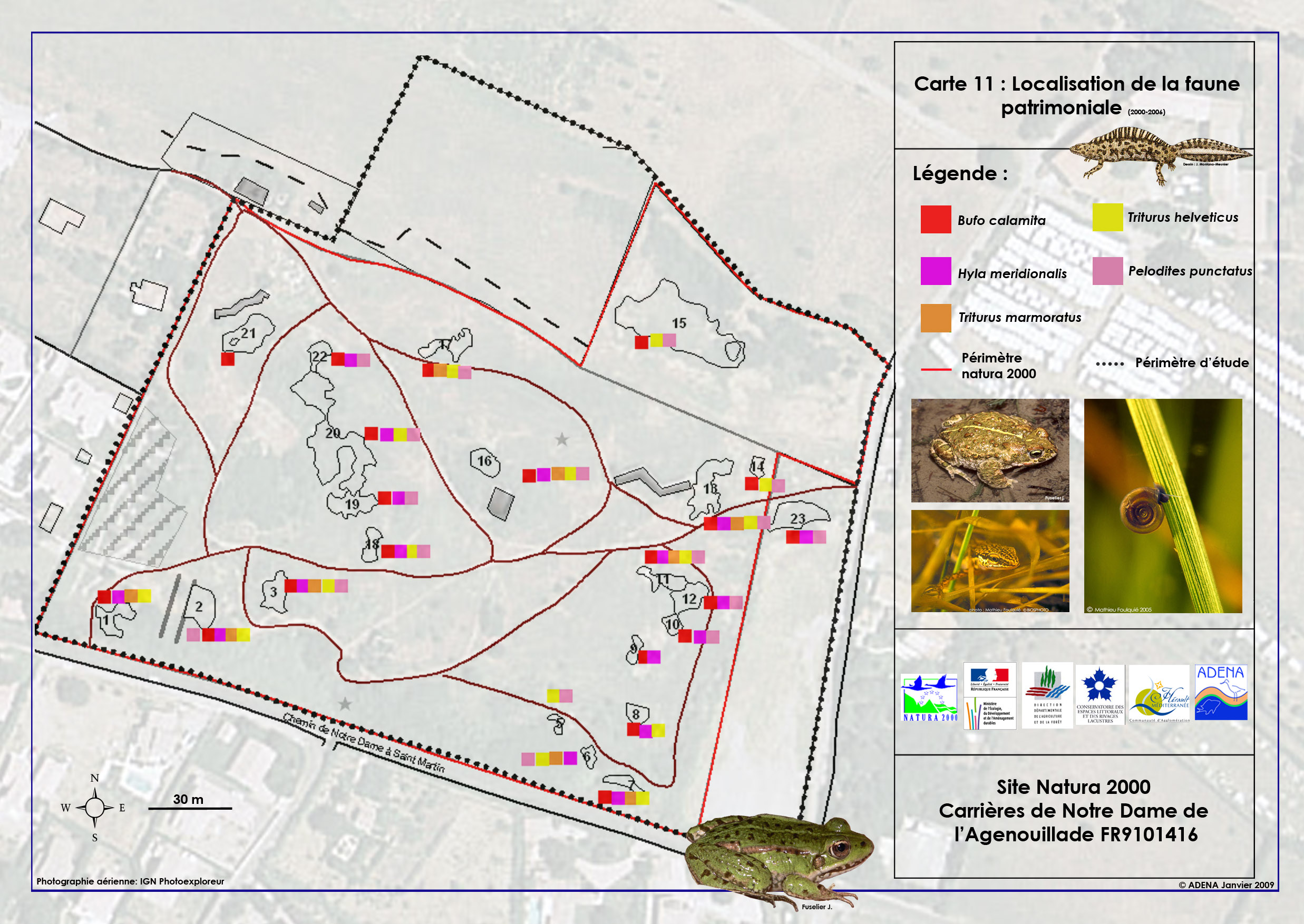 Carte 11Faune Patrimoniale