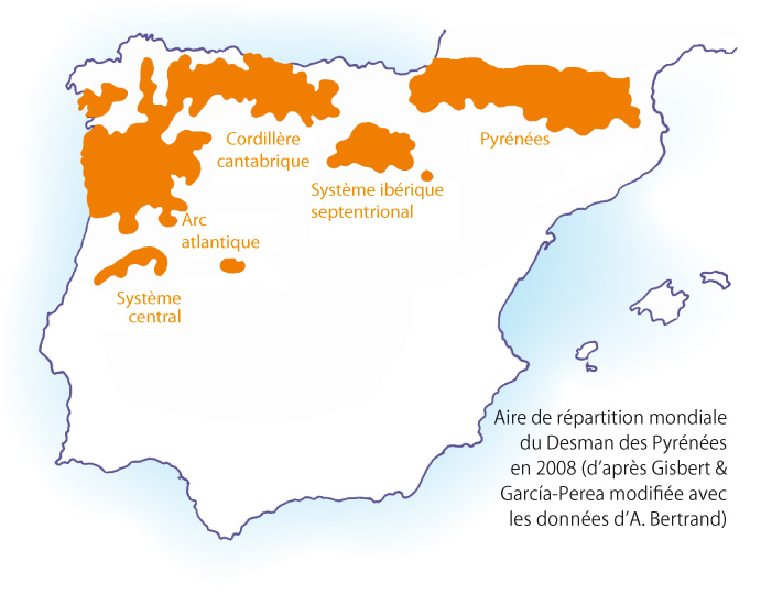 Carte de répartition mondiale du Desman des Pyrénées (Source : d'après Gisbert & García-Perea modifiée avec les données d'A. Bertrand, 2008)