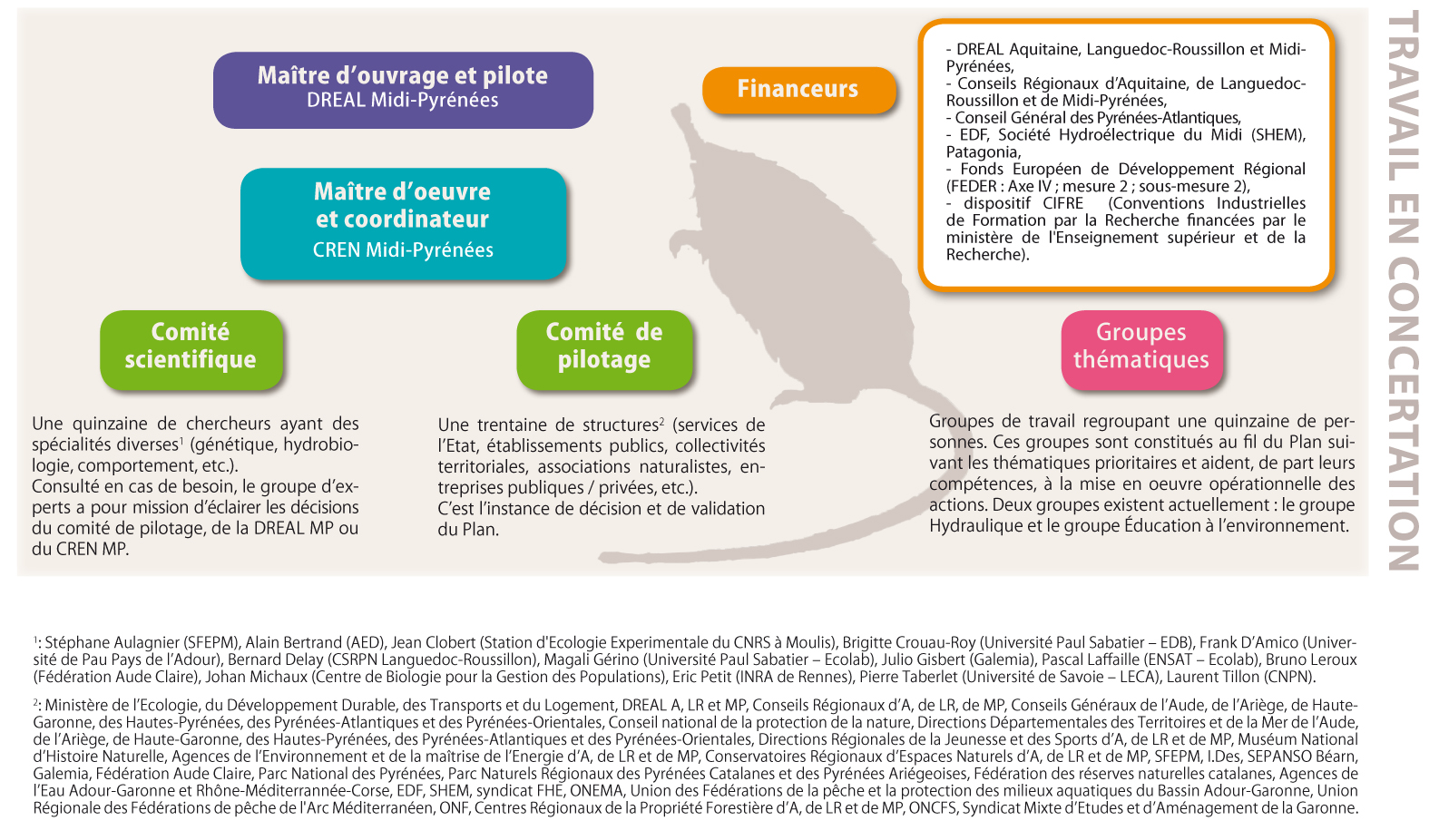 Organigramme du PNA Desman (Crédit : CREN MP)