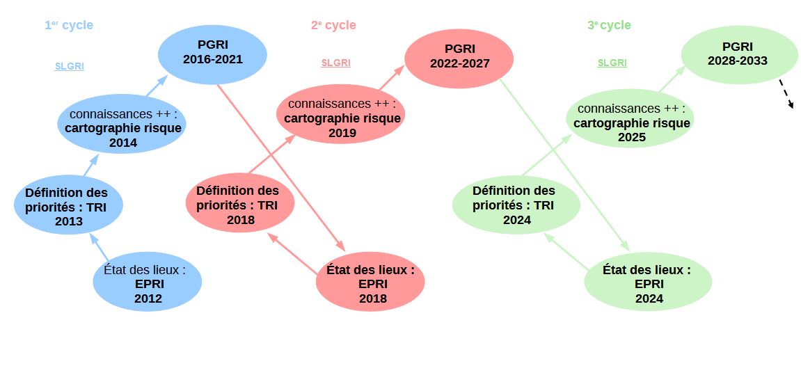 Schéma des cycles de la DI