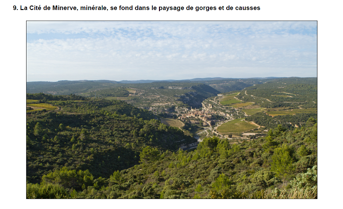 Minerve