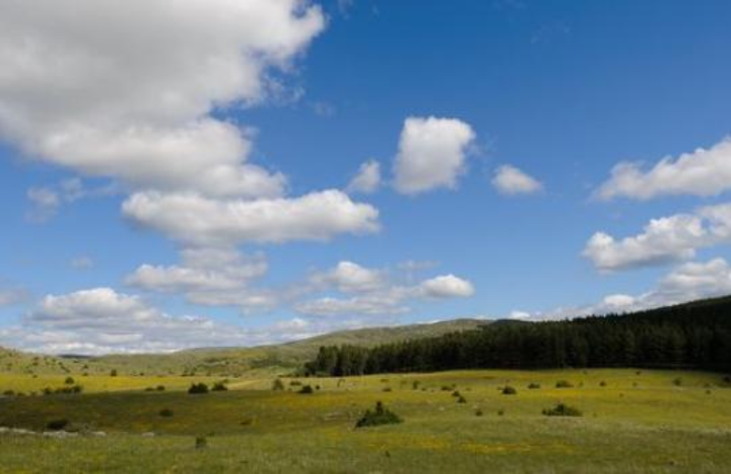 cliquez pour accéder à la publication…