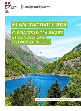 Bilan d'activité DOHC 2024