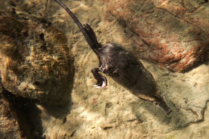 Crédit photo : © LUCAS SANTUCCI / AGENCE ZEPPELIN