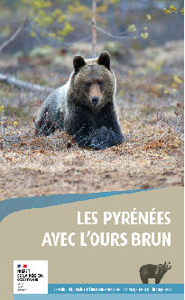 Les pyrénées avec l'Ours brun Les pyrénées avec l'Ours brun